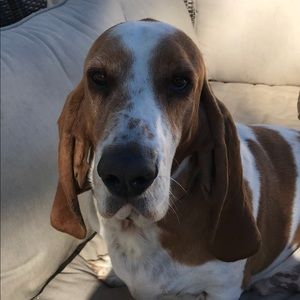 Meet your Posher, Claudette